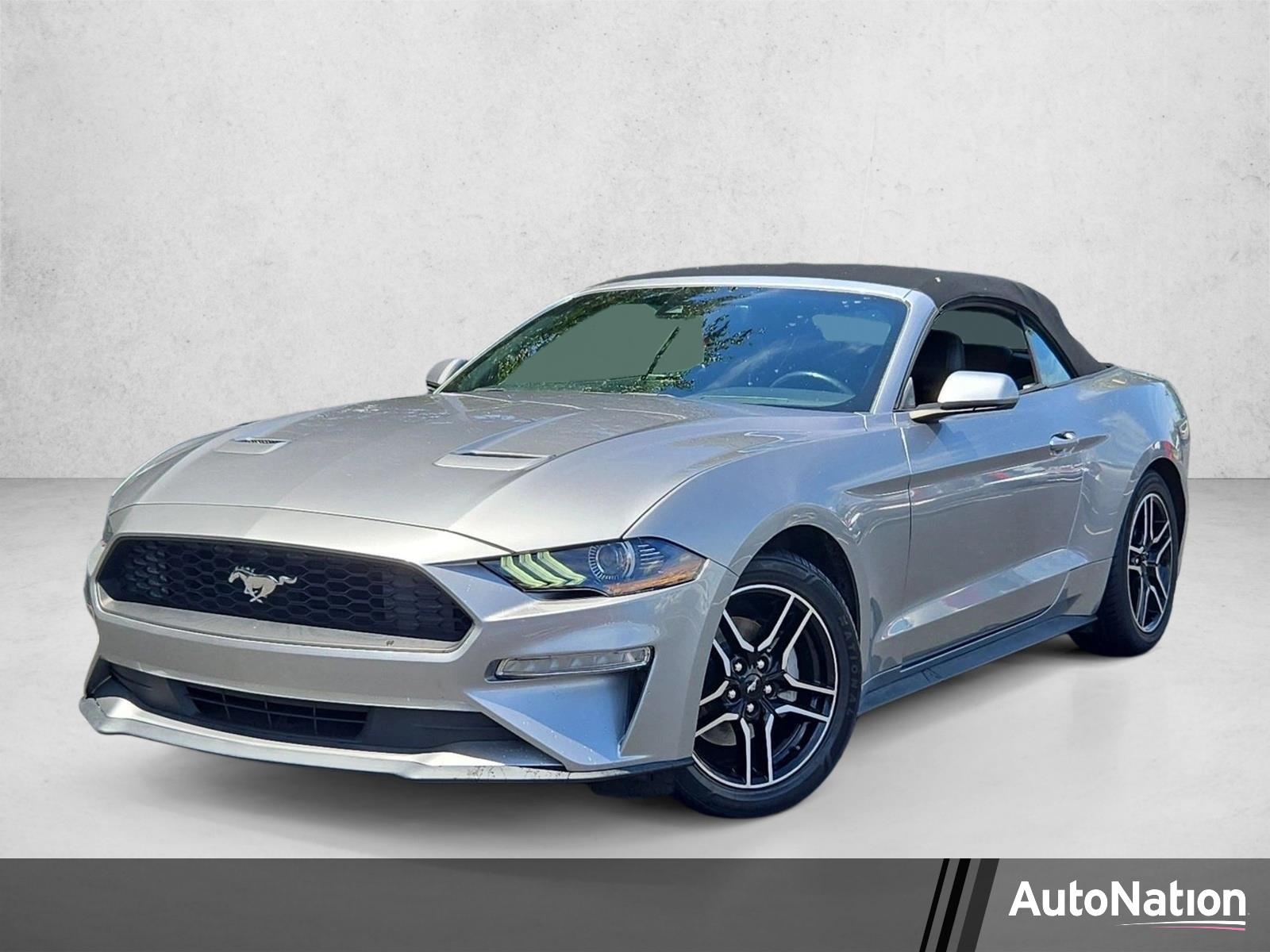 2022 Ford Mustang Vehicle Photo in Clearwater, FL 33764