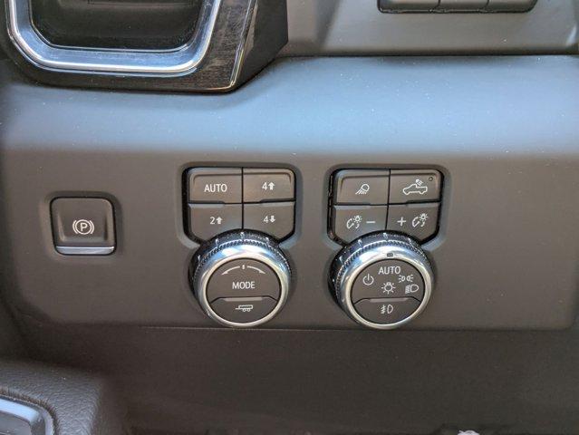 2024 GMC Sierra 1500 Vehicle Photo in SELMA, TX 78154-1459