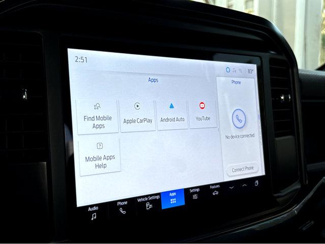 2025 Ford F-150 Vehicle Photo in Savannah, GA 31419