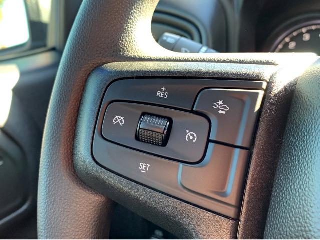2025 Chevrolet Silverado 1500 Vehicle Photo in BEAUFORT, SC 29906-4218