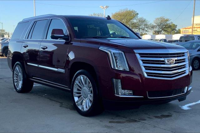 2019 Cadillac Escalade Vehicle Photo in TOPEKA, KS 66609-0000