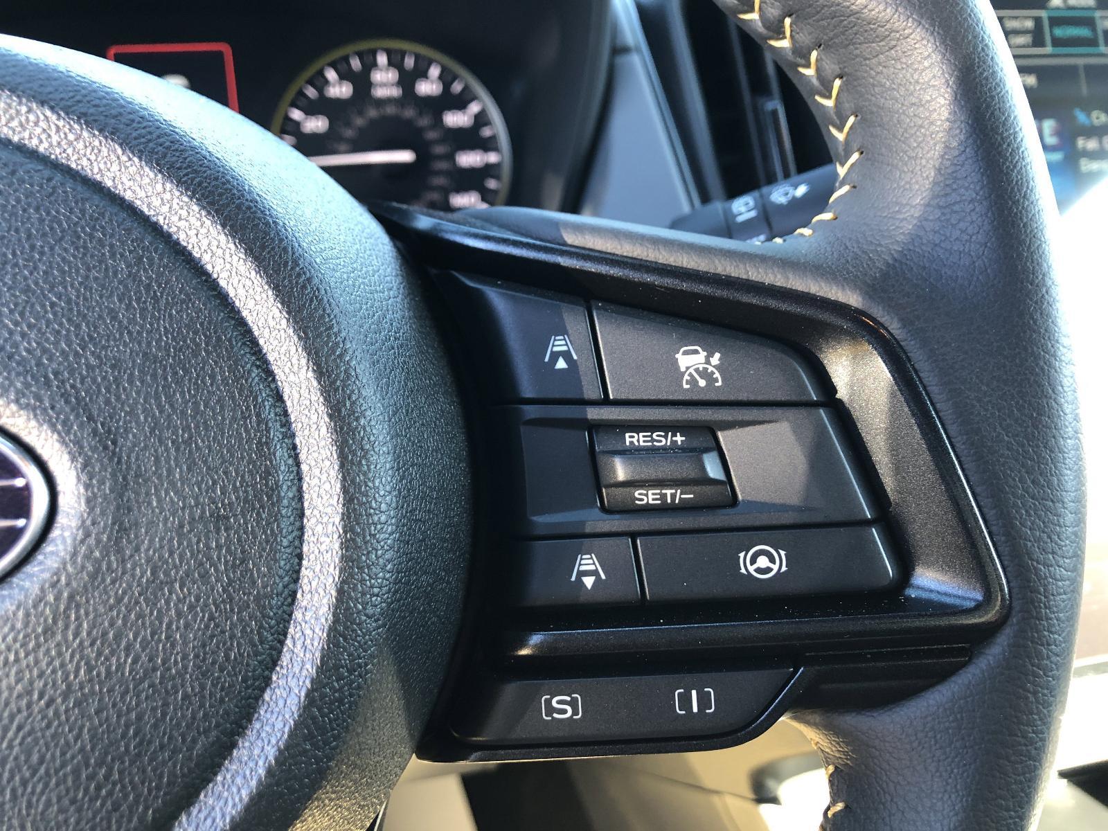 2025 Subaru Crosstrek Vehicle Photo in Mechanicsburg, PA 17050