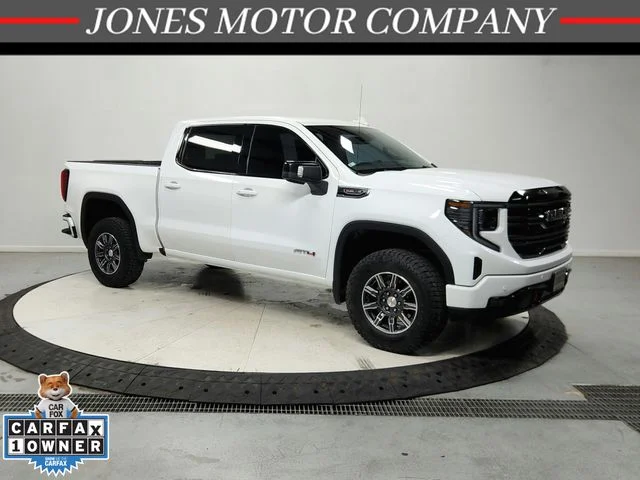 2025 GMC Sierra 1500 Vehicle Photo in Savannah, TN 38372