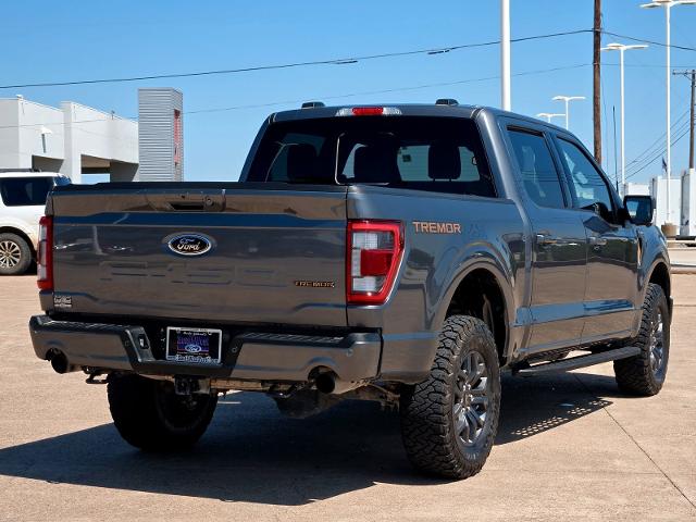 2023 Ford F-150 Vehicle Photo in Weatherford, TX 76087