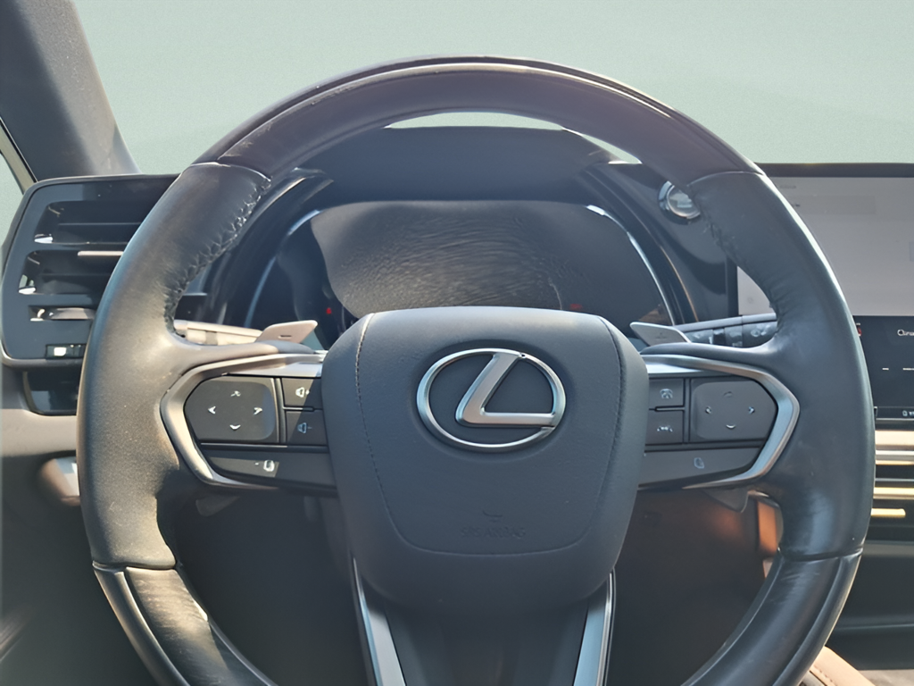 2024 Lexus RX photo 18 of 32