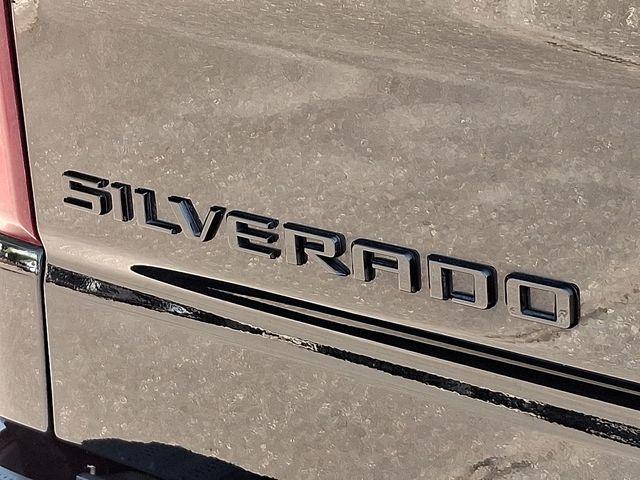 2023 Chevrolet Silverado 1500 Vehicle Photo in DANBURY, CT 06810-5034