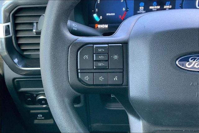 2024 Ford F-150 Vehicle Photo in KANSAS CITY, MO 64114-4502