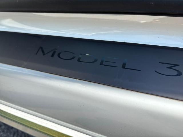 2023 Tesla Model 3 Vehicle Photo in Statesboro, GA 30458