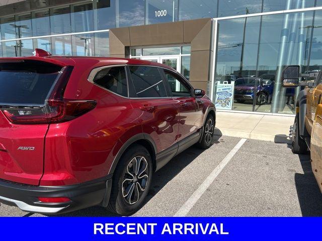 2022 Honda CR-V Vehicle Photo in Merrillville, IN 46410