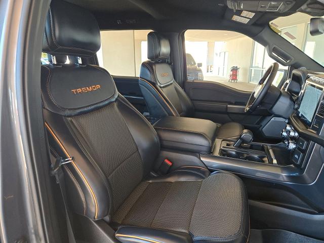 2023 Ford F-150 Vehicle Photo in Weatherford, TX 76087