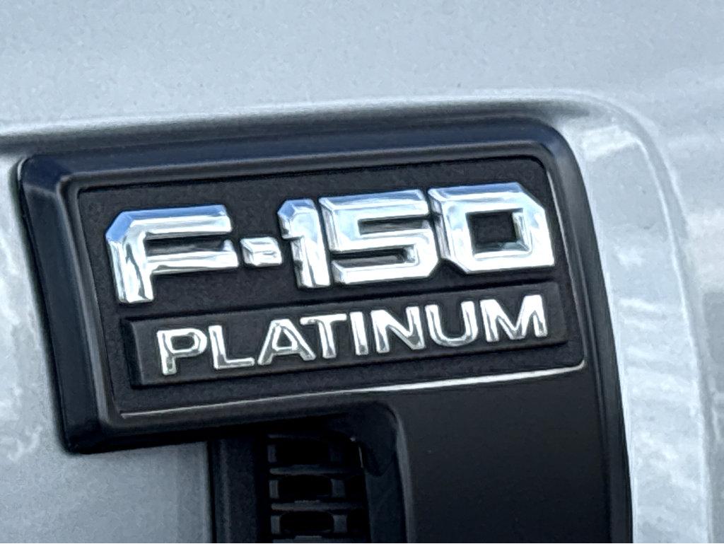 2023 Ford F-150 Vehicle Photo in POOLER, GA 31322-3252
