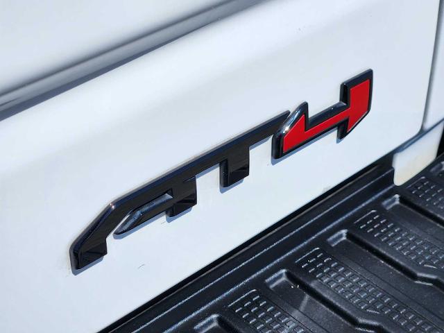 2025 GMC Sierra 1500 Vehicle Photo in DENTON, TX 76210-9321