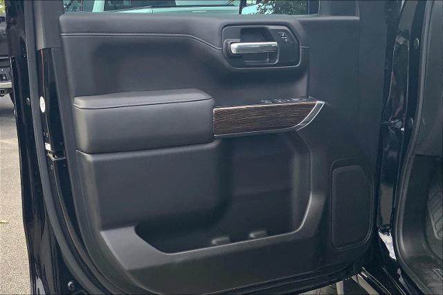2019 GMC Sierra 1500 Vehicle Photo in INDEPENDENCE, MO 64055-1377
