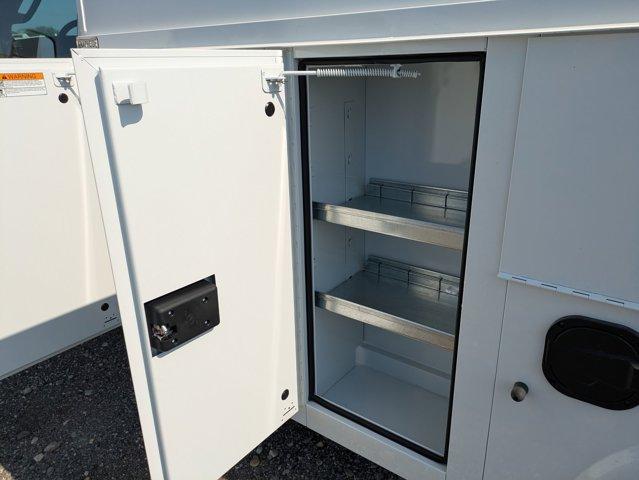 2024 Chevrolet Express Commercial Cutaway Vehicle Photo in SELMA, TX 78154-1460