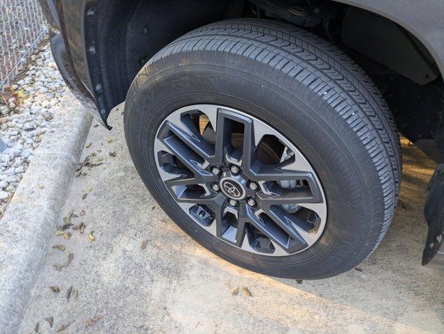 2023 Toyota Tundra 4WD Vehicle Photo in SELMA, TX 78154-1460