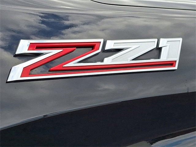 2019 Chevrolet Silverado 1500 Vehicle Photo in LANCASTER, PA 17601-0000
