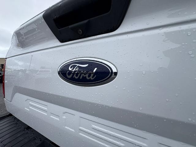 2020 Ford F-150 Vehicle Photo in Brunswick, GA 31525