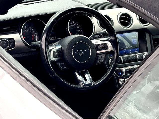 2022 Ford Mustang Vehicle Photo in BEAUFORT, SC 29906-4218