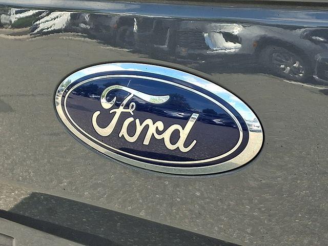 2020 Ford F-150 Vehicle Photo in DANBURY, CT 06810-5034