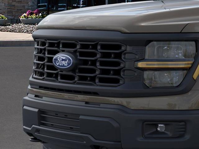 2025 Ford F-150 Vehicle Photo in Weatherford, TX 76087