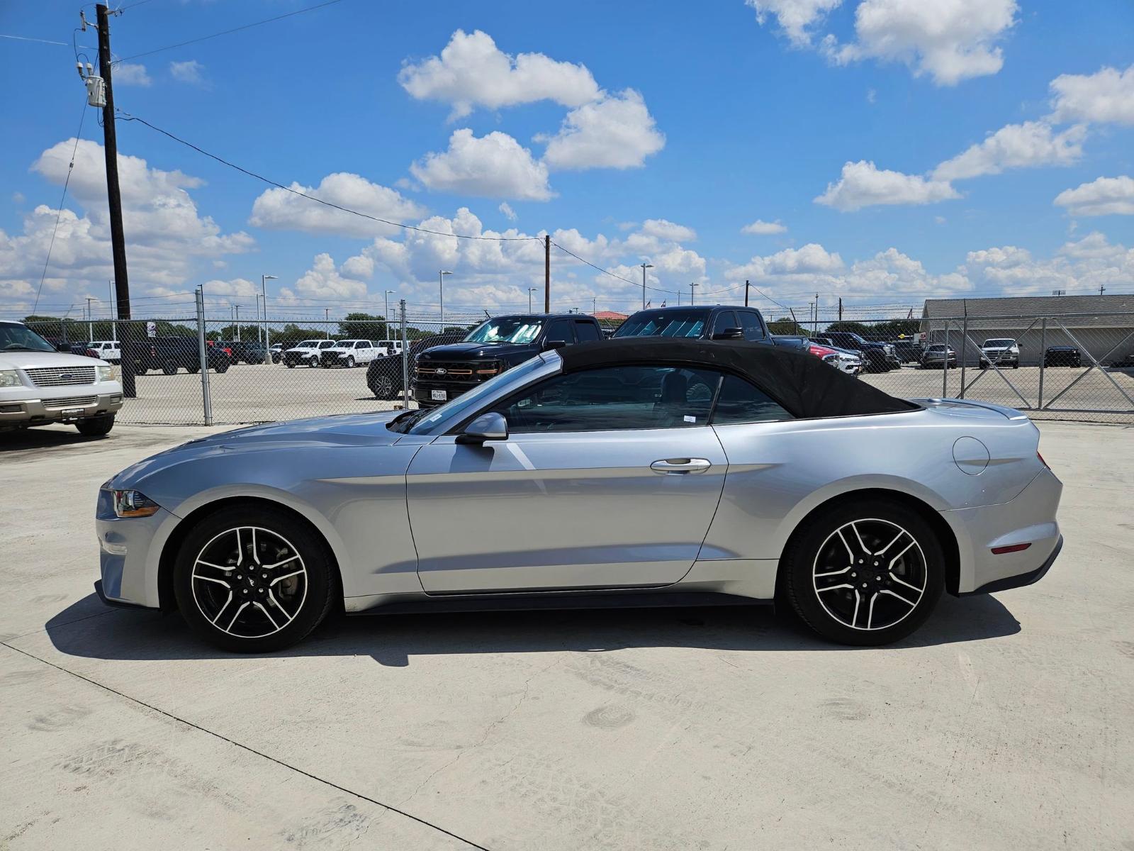 2023 Ford Mustang Vehicle Photo in Seguin, TX 78155