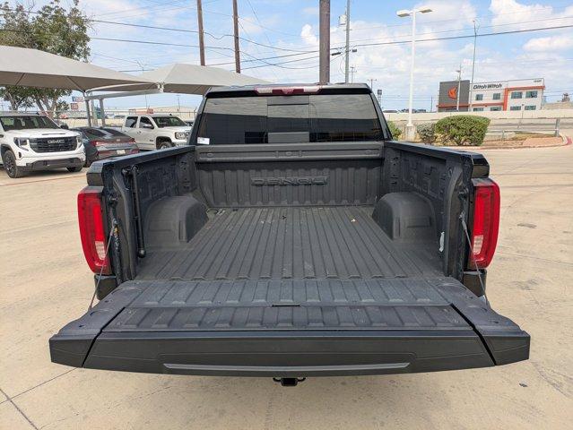 2024 GMC Sierra 1500 Vehicle Photo in SELMA, TX 78154-1459