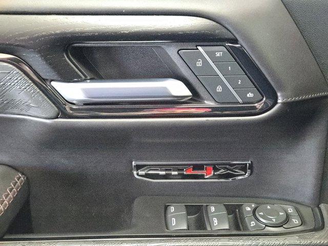 2024 GMC Sierra 1500 Vehicle Photo in Decatur, TX 76234