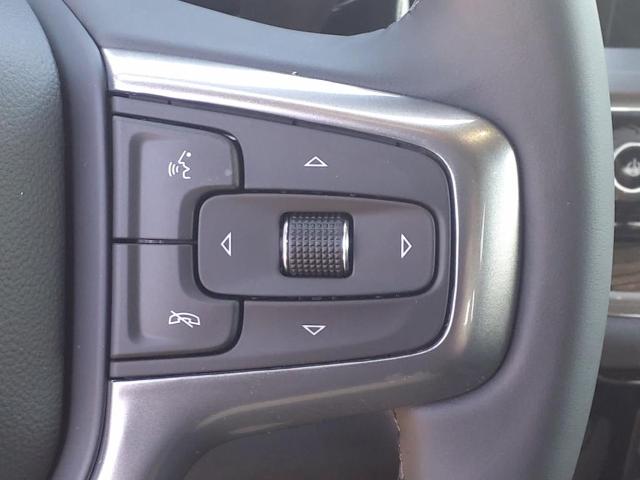 2025 Chevrolet Silverado 1500 Vehicle Photo in Denton, TX 76205