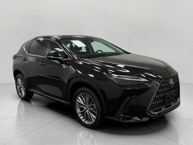 2024 Lexus NX 350 Vehicle Photo in Neenah, WI 54956