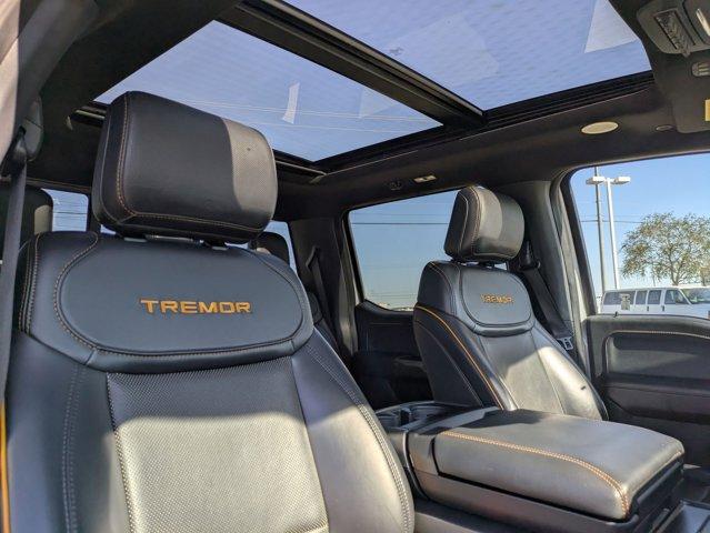 2023 Ford F-150 Vehicle Photo in SELMA, TX 78154-1459