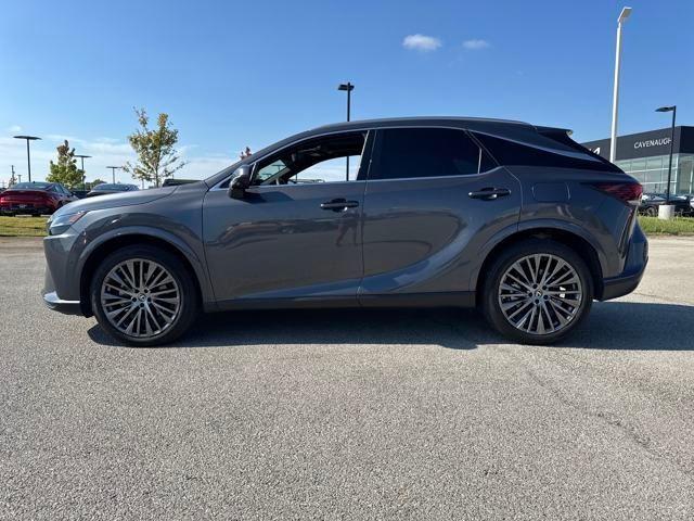 2024 Lexus RX 350 Vehicle Photo in Jonesboro, AR 72404