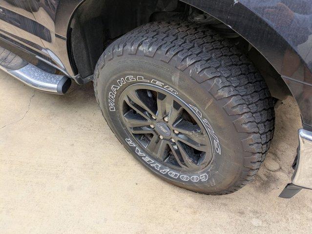 2019 Ford F-150 Vehicle Photo in SELMA, TX 78154-1459