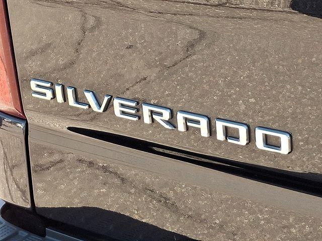 2022 Chevrolet Silverado 1500 Vehicle Photo in DANBURY, CT 06810-5034