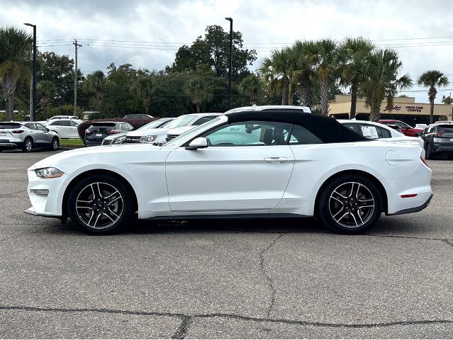 2022 Ford Mustang Vehicle Photo in BEAUFORT, SC 29906-4218