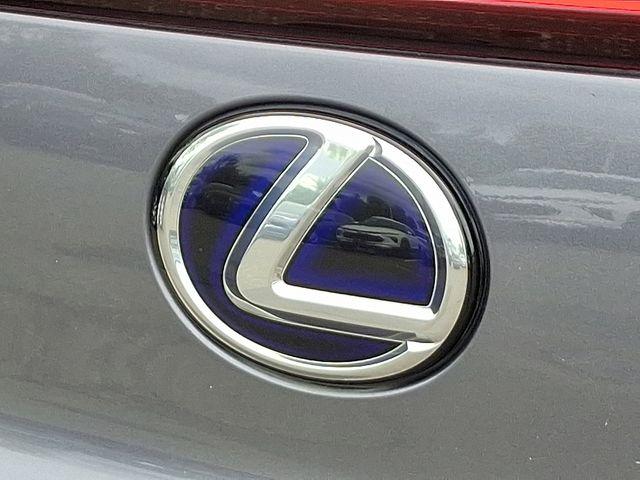 2020 Lexus UX 250h Vehicle Photo in DANBURY, CT 06810-5034