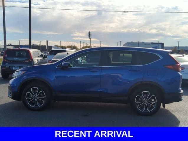 2021 Honda CR-V Vehicle Photo in Merrillville, IN 46410