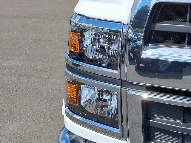 2024 Chevrolet Silverado 5500 HD Vehicle Photo in DANBURY, CT 06810-5034