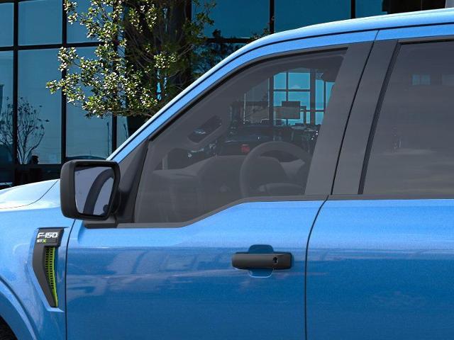 2025 Ford F-150 Vehicle Photo in Weatherford, TX 76087