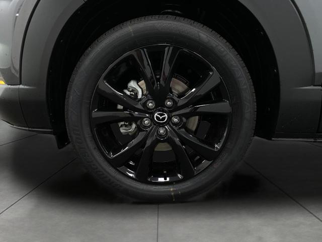 2025 Mazda CX-30 Vehicle Photo in Appleton, WI 54913