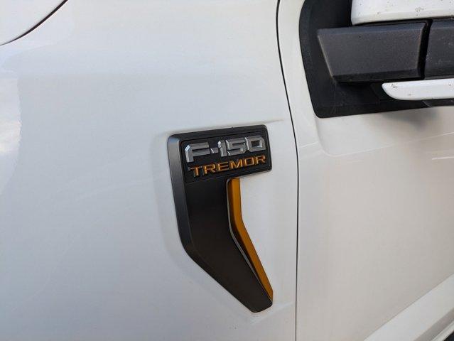 2023 Ford F-150 Vehicle Photo in SELMA, TX 78154-1459