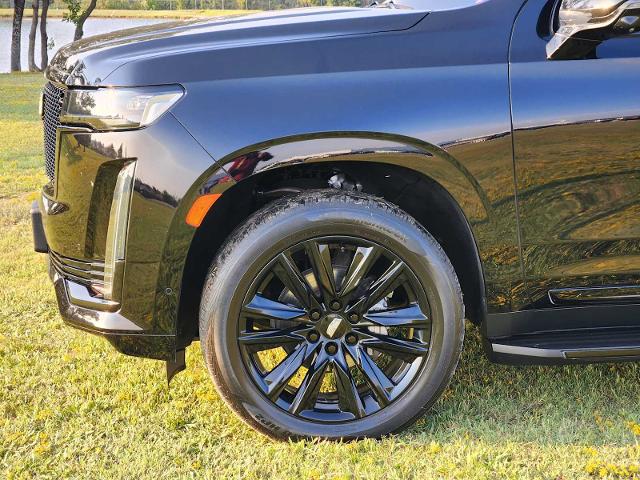 2021 Cadillac Escalade Vehicle Photo in DENTON, TX 76210-9321