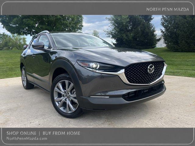 2025 Mazda CX-30 Vehicle Photo in COLMAR, PA 18915