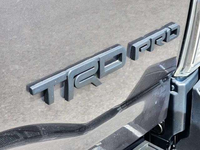 2020 Toyota Tacoma 4WD Vehicle Photo in DENTON, TX 76210-9321