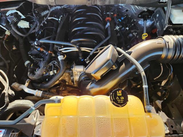 2021 Ford F-150 Vehicle Photo in DENTON, TX 76210-9321