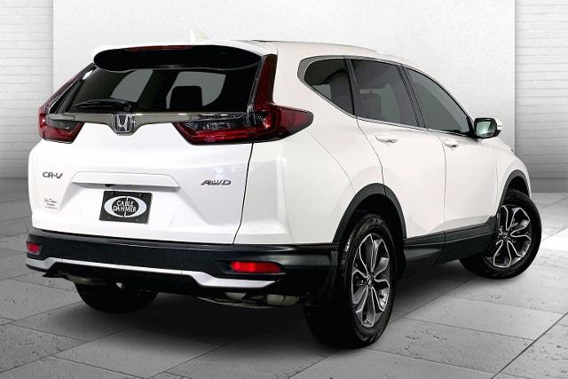 2022 Honda CR-V Vehicle Photo in KANSAS CITY, MO 64114-4502