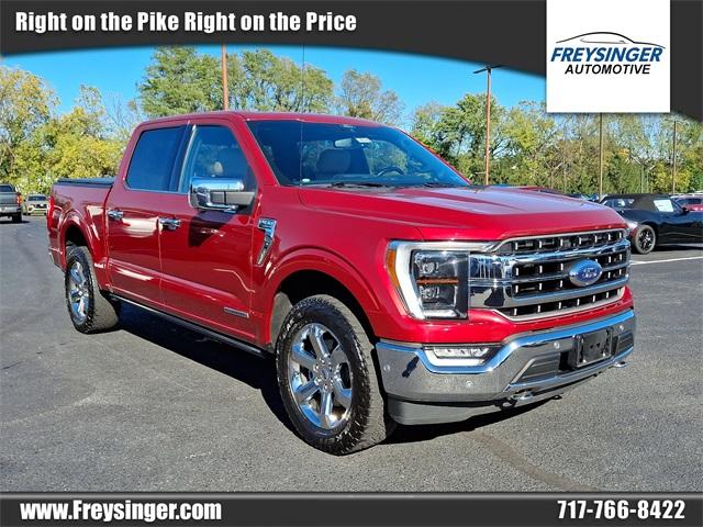 2021 Ford F-150 Vehicle Photo in New Bloomfield, PA 17068