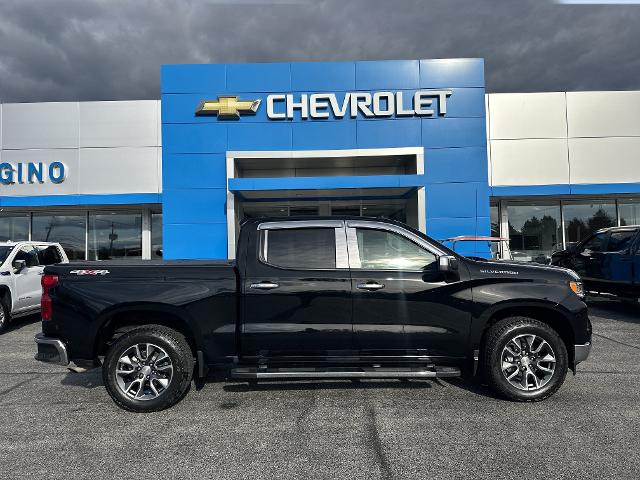 2024 Chevrolet Silverado 1500 Vehicle Photo in AMSTERDAM, NY 12010-6209