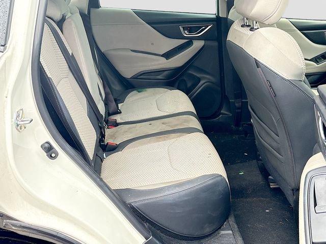 2023 Subaru Forester Vehicle Photo in Doylestown, PA 18902