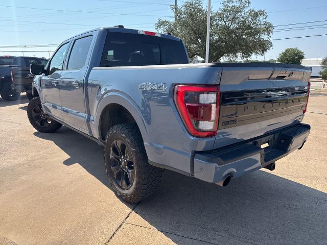 2023 Ford F-150 Vehicle Photo in Weatherford, TX 76087