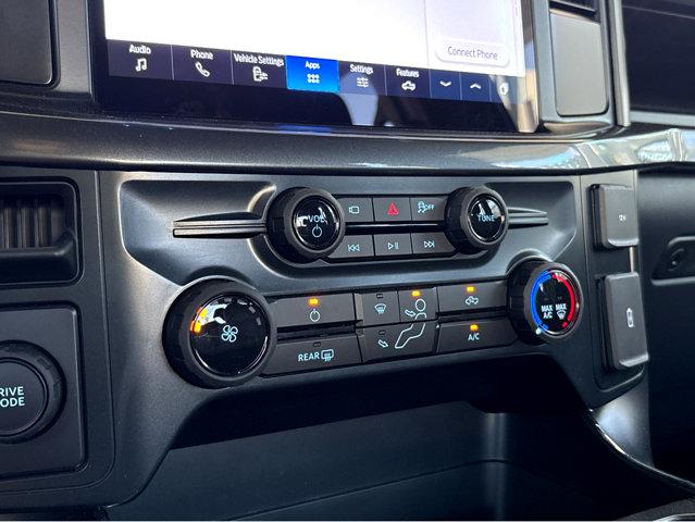2025 Ford F-150 Vehicle Photo in Savannah, GA 31419